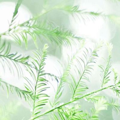 雷霆霸业手游官方下载